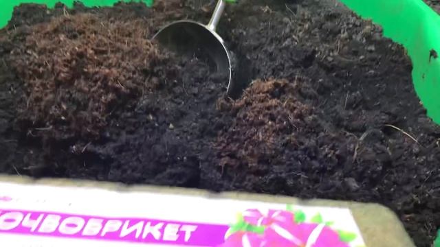 Нужно ли добавлять золу в грунт для рассады? В какие почвенные смеси я обязательно добавляю золу?