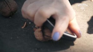 Краш-тест нового и старого Nokia 3310