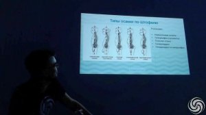 6.17. Позвоночник, тазовый пояс, плечевой пояс (ОДА 2)