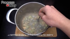 СУПЕР СРЕДСТВО ДЛЯ КАПУСТЫ! ДЕЛАЙТЕ ТАК МОШКИ НА КАПУСТЕ НЕ БУДЕТ НИКОГДА! +10 Рецептов