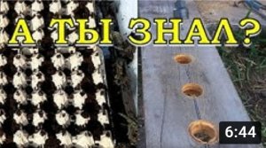 ХИТРОСТИ дачников и ИДЕИ для ОГОРОДА???