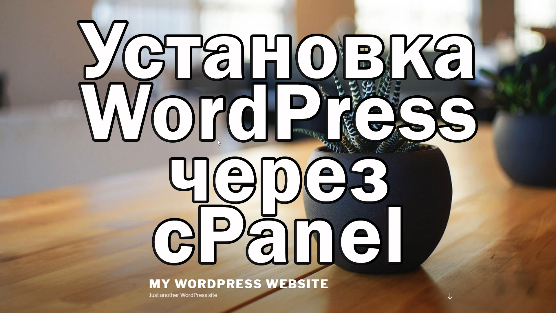 Установка WordPress через CPanel