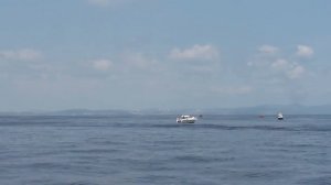 Рыбалка 2016. Залив Петра великого.