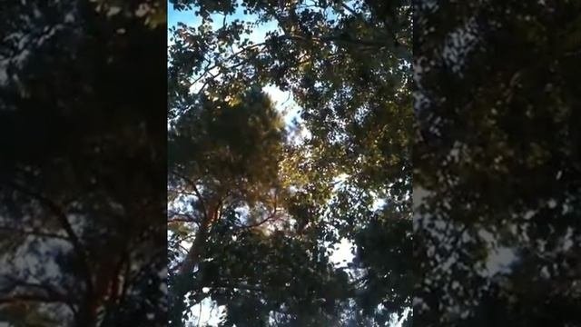 Щурово...база Реченька...прекрасноеутро и пение птиц...)