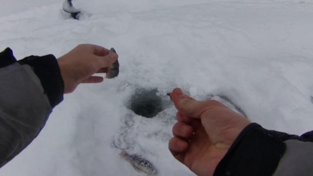 НАШЕЛ ОКУНЕВУЮ ЛУНКУ, ЗИМНЯЯ РЫБАЛКА В ПЕРМСКОМ КРАЕ, БУДУ ПРОБОВАТЬ НОВЫЙ РЕЦЕПТ МОТЫЛЯ