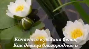 Растения Красной книги