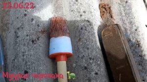 ремонт шиферной кровли ( крыши) за 50 руб. женскими руками.