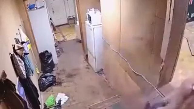 Прелести коммунальной квартиры смотреть онлайн