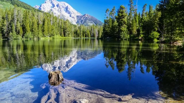 Истории из жизни Старшая дочь хочет переехать с семьёй к матери  Жизненные истории рассказы