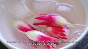 How to make Flower Radishes for Bento Lunch box (vegetarian bento)