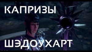Где найти Копье Ночи для Шэдоухарт? - Baldur's Gate 3