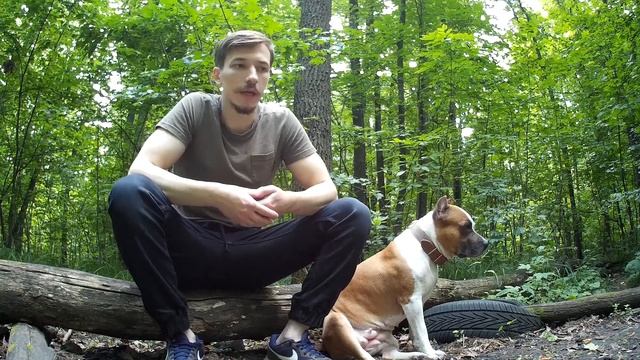 РАСТИШЬ АМСТАФФА ДОБРЯКОМ ЖДИ ПРОБЛЕМ смотреть онлайн