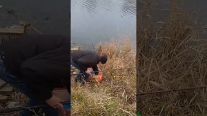 Рыбалка в Краснодаре. Щука на живца.Озеро Карасун.