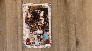 Grimalkin Tarot 2nd Edition