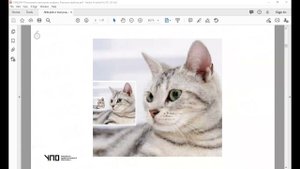 Урок 3. Растр и вектор. Цветовые режимы.