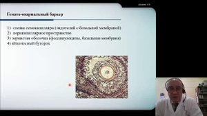 Гистология 6. Женская половая система ч.1