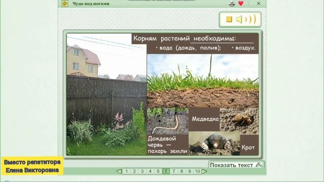 Чудо под ногами смотреть онлайн