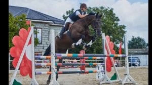 КоноБлог/ 2дня на конюшне.