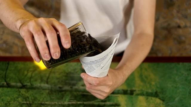 Sunflower Seeds in the USSR - How to Eat Semechki Like a Russian смотреть онлайн