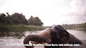 Мудрая Притча о Слоне и Слепых Мудрецах (Как выглядит слон?)