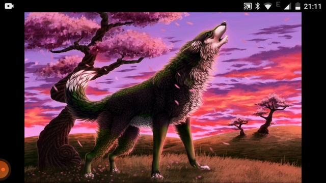 читаем книгу коты воители стань диким пролог смотреть онлайн