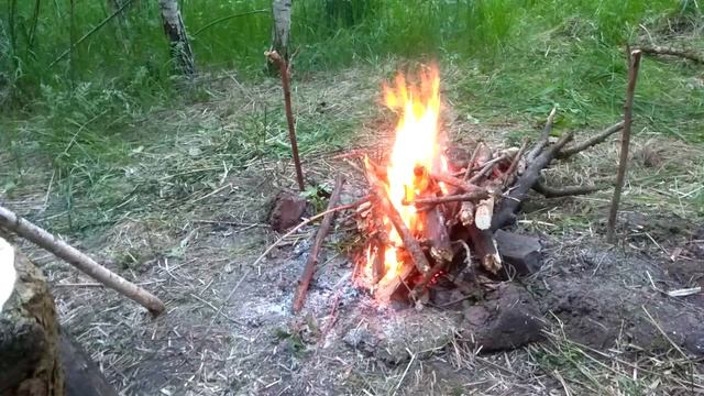 Смотреть видео онлайн