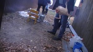 Как ощипать гуся 2