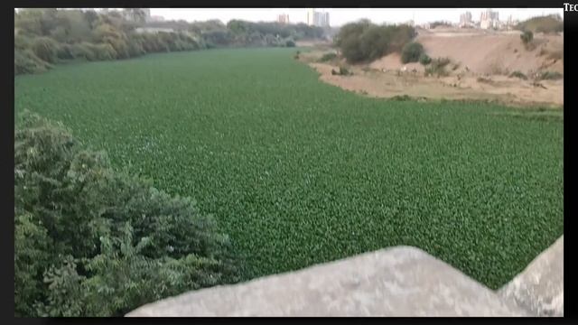 Redmi Note 7 Pro Detailed Camera Review смотреть онлайн