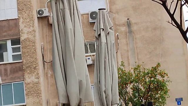 Мандарины в декабре растут на улице Кипр смотреть онлайн