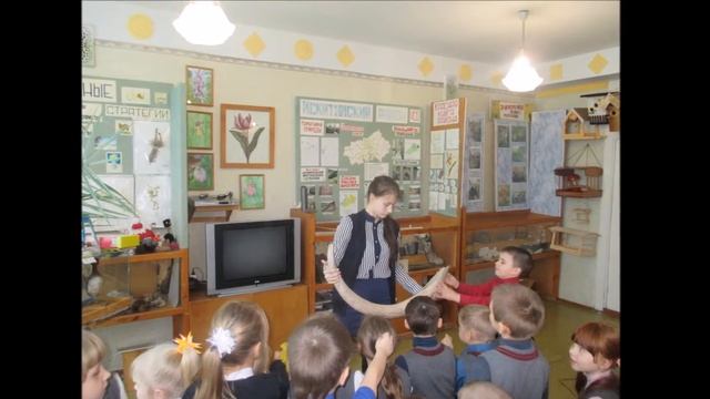 День рождения экологического музея смотреть онлайн