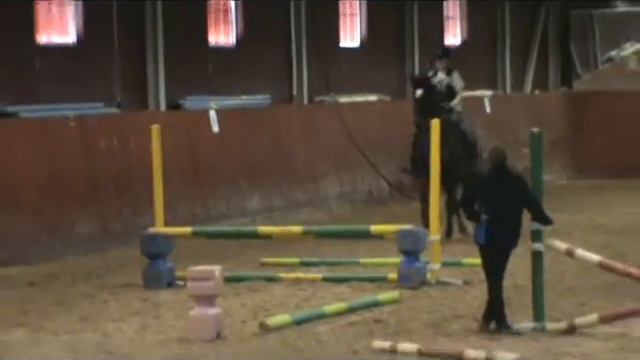 Hoppning med Lisa смотреть онлайн