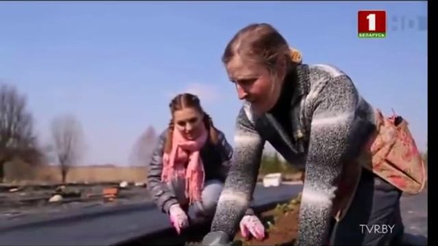 Программа Дача в гостях у Аллы Чаматы в 2019 году. Сюжет о весеннем уходе за клубникой
