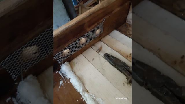 Реставрация старых ульев, новое жилье для пчел