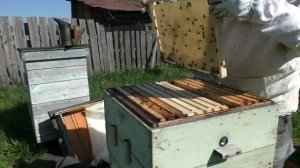 Постановка второго корпуса Результат через неделю Кемеровская система пчеловодства