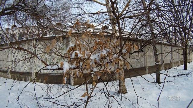 Уссурийск, последний день зимы 2020 г. смотреть онлайн