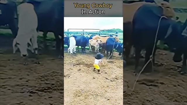 Young Cowboy In Action