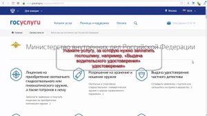 Как через госуслуги оплатить госпошлину