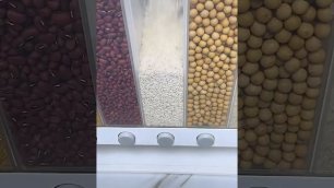 Настенный контейнер для хранения пищевых продуктов с 6-ю прозрачными секциями.mp4