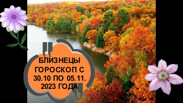 Близнецы таро-прогноз на неделю с 30.10 по 5.11.2023 года