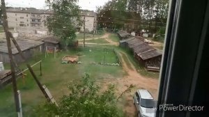 VLOG с куклой БЕБИ БОН/Утро с куклой беби бон/Беби бон Арина/как мама