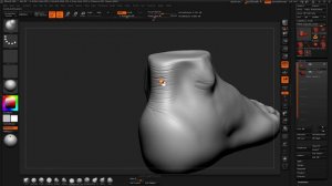 Anat-Vol 03-12  Final_Details