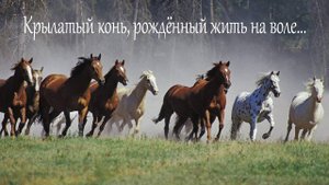 Руслан Хайдаров - Крылатый Конь