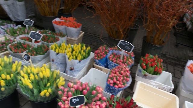 The Best of Amsterdam (4K) - Bloemenmarkt Floating Flower Market смотреть онлайн