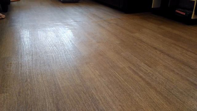 ОБЫЧНЫЙ КОТ смотреть онлайн