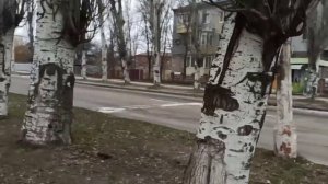 Славянск 22 января 2024 года в городе.