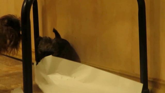 MVI 6527 смотреть онлайн