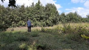 Косим траву мотокосой Stihl FS 250 | We mow the grass with the Stihl FS 250 brushcutter part 2