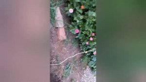 Скважина. Как укоротить/обрезать обсадную трубу без опилок.