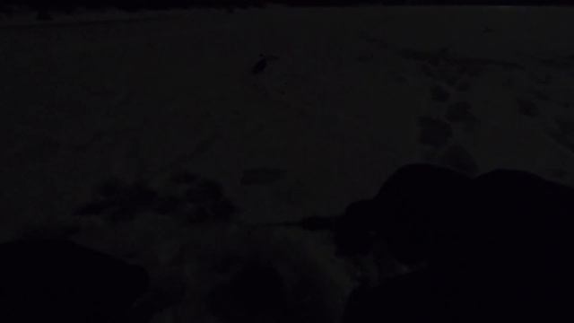 Ловля Налима Зимой! Рыбалка на Вертолет, ночная ловля на реке в декабре