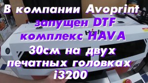 В компании Avoprint запущен DTF комплекс HAVA 30см на двух печатных головках i3200